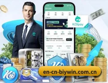 en-cn-biywin.com.cn APP 深度功能